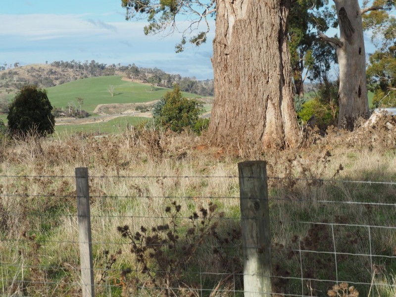 39 Peddie Drive, Dilston TAS 7252