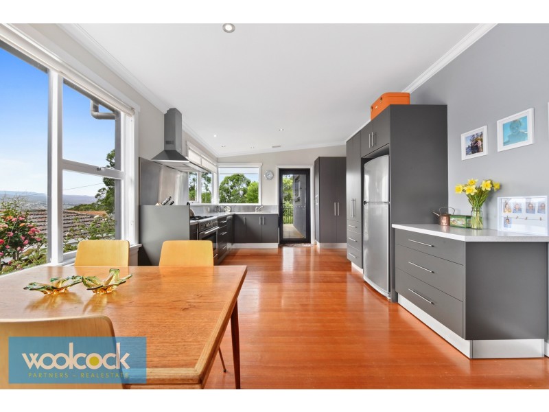17 Denis Drive, Riverside TAS 7250
