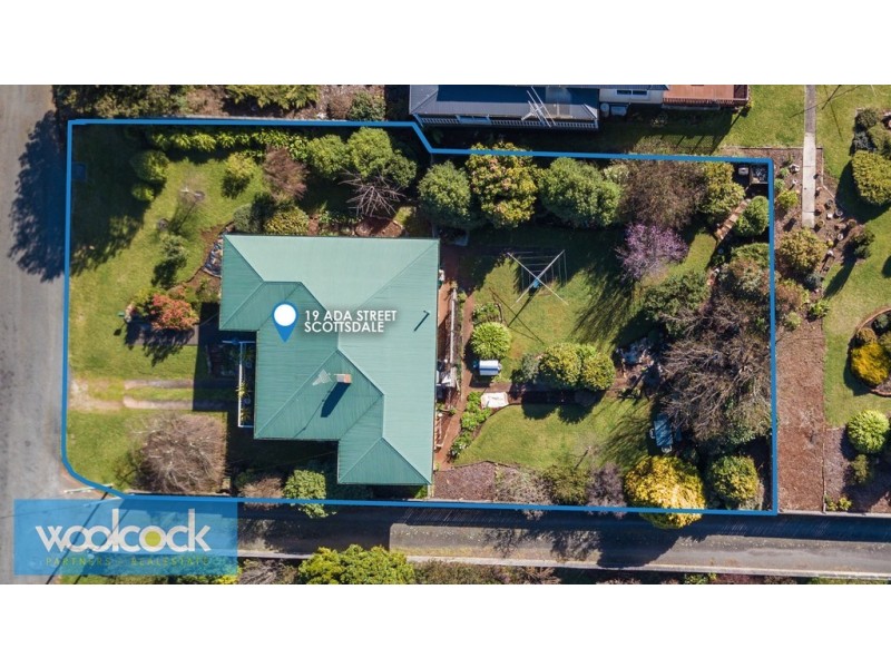 19 Ada Street, Scottsdale TAS 7260
