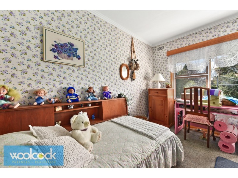 19 Ada Street, Scottsdale TAS 7260