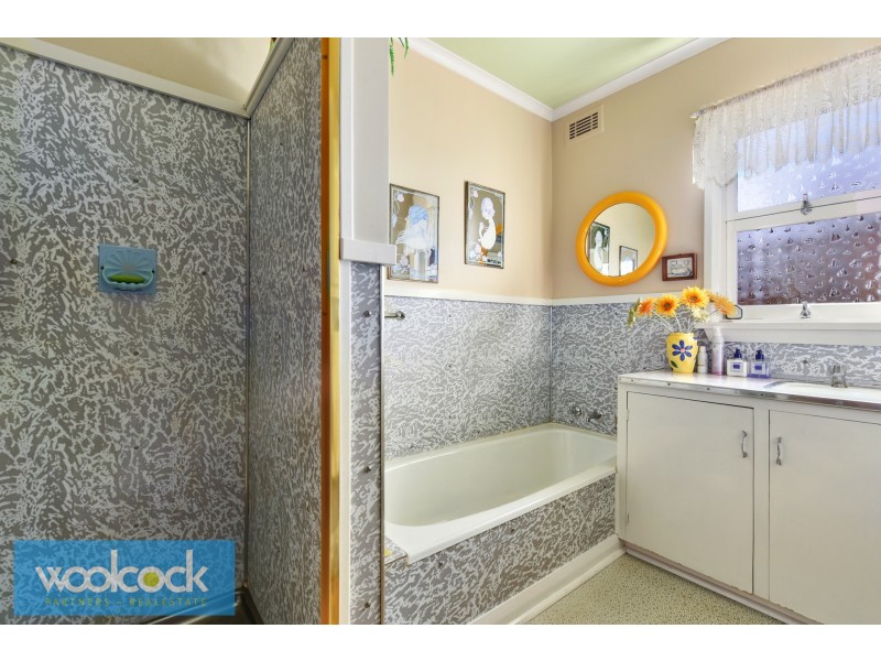 19 Ada Street, Scottsdale TAS 7260