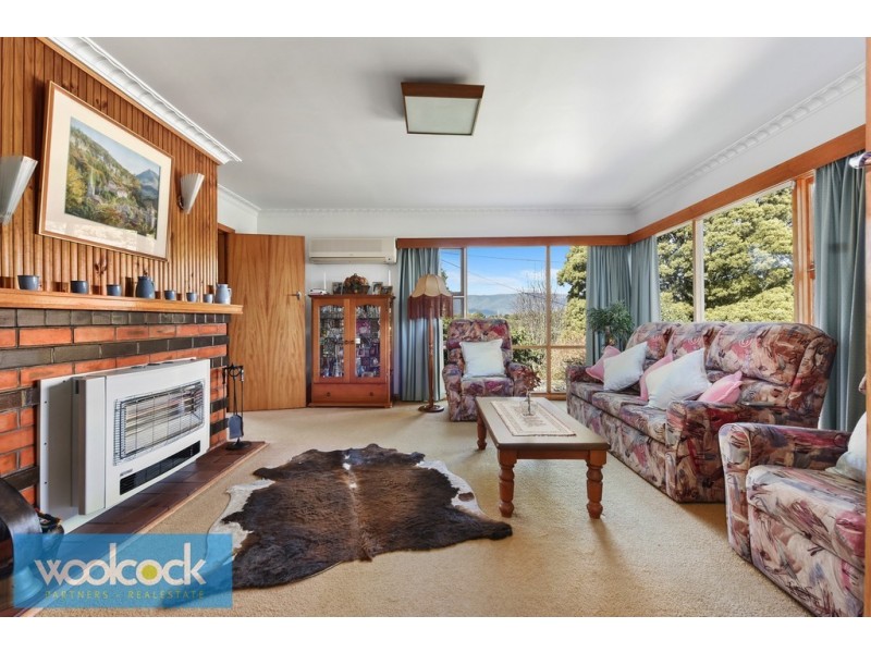 19 Ada Street, Scottsdale TAS 7260