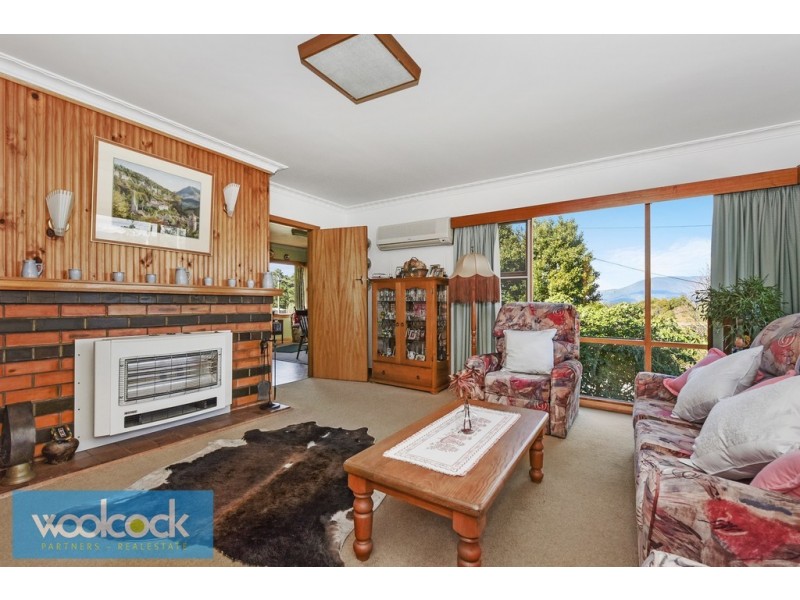 19 Ada Street, Scottsdale TAS 7260