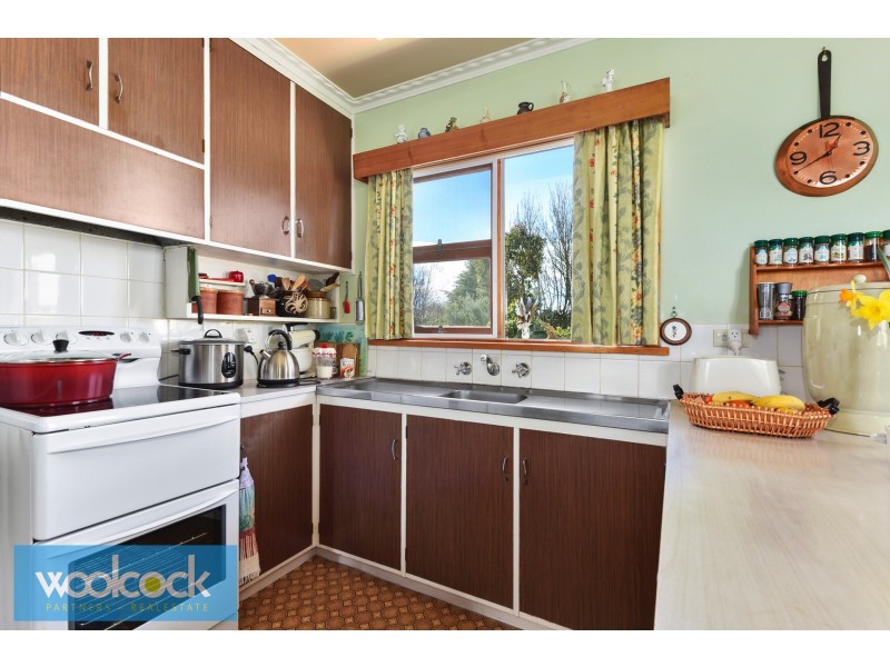 19 Ada Street, Scottsdale TAS 7260