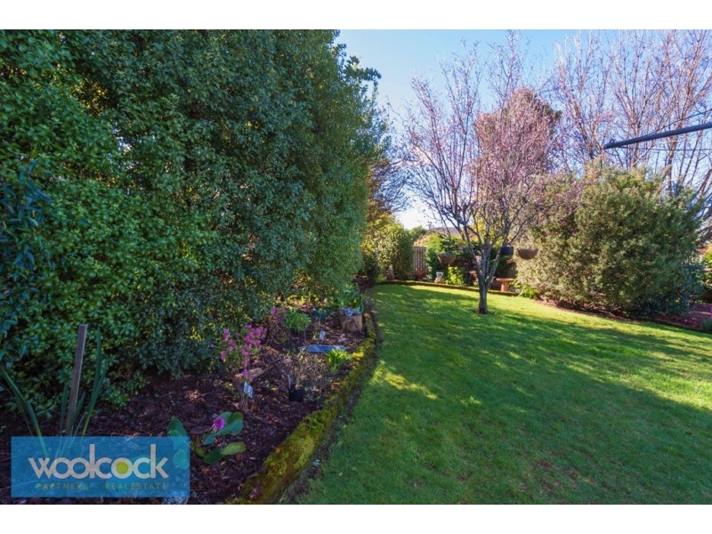 19 Ada Street, Scottsdale TAS 7260