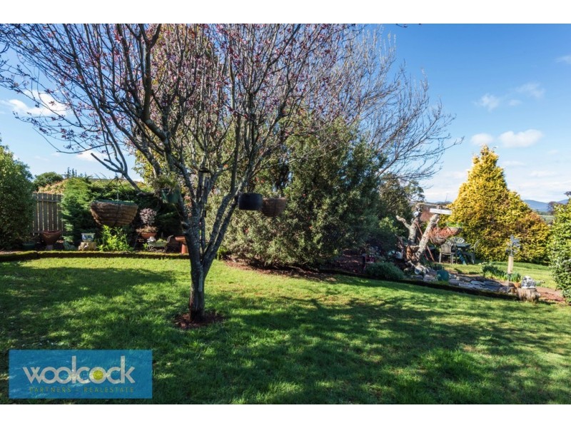 19 Ada Street, Scottsdale TAS 7260