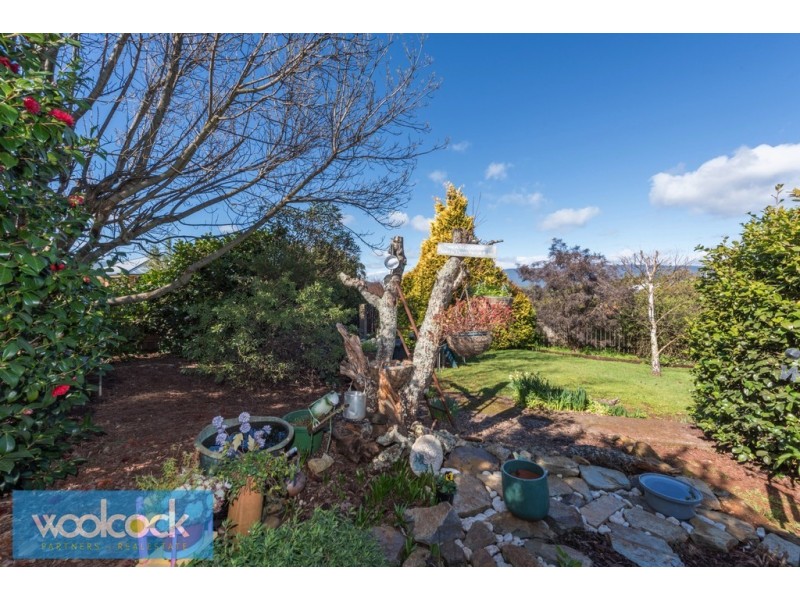 19 Ada Street, Scottsdale TAS 7260