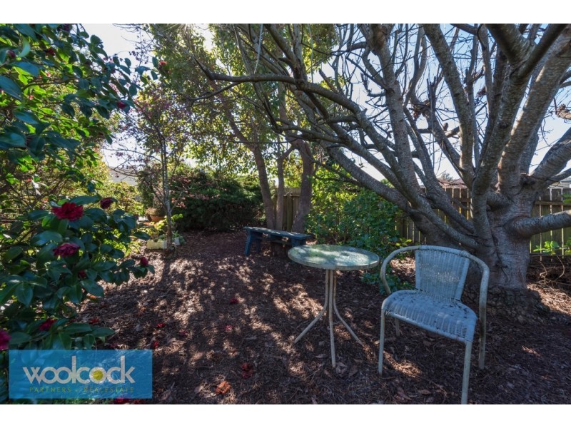 19 Ada Street, Scottsdale TAS 7260