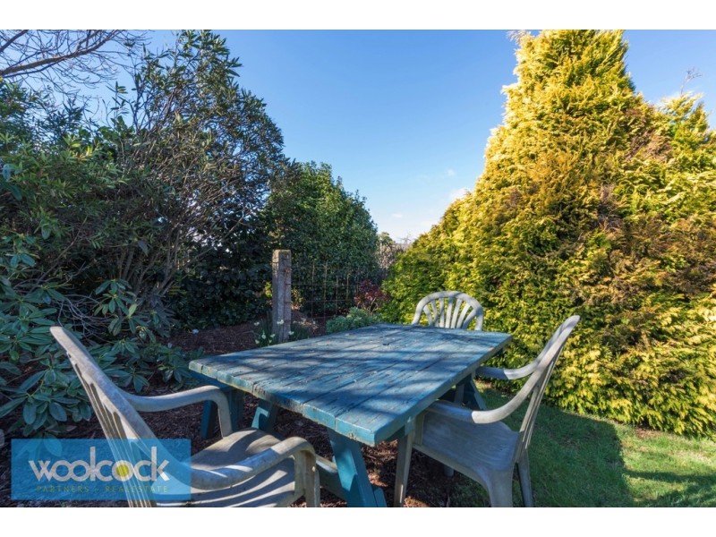 19 Ada Street, Scottsdale TAS 7260