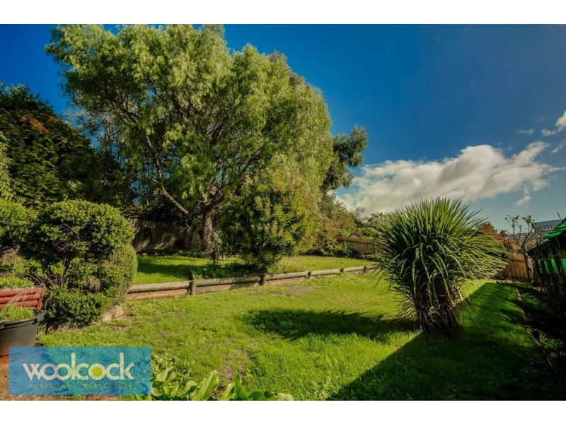 12 Ringarooma Road, Scottsdale TAS 7260