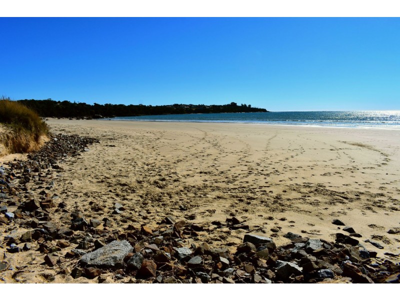 14 Elvie Court, Bridport TAS 7262