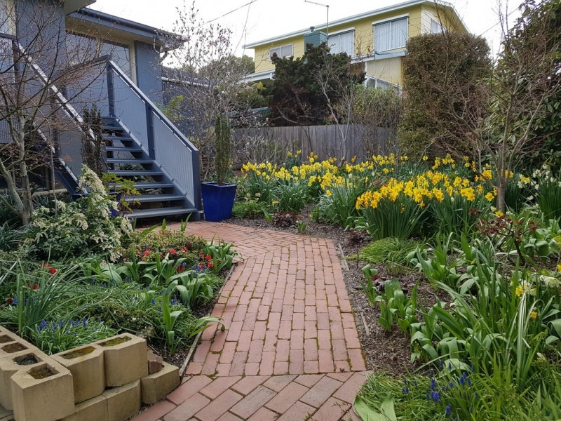 131 Cambridge Street, West Launceston TAS 7250