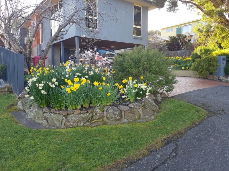 131 Cambridge Street, West Launceston TAS 7250