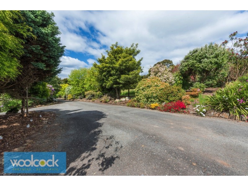 332 East Minston Road, Scottsdale TAS 7260