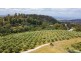 26 Skyline Avenue, Grindelwald TAS 7277