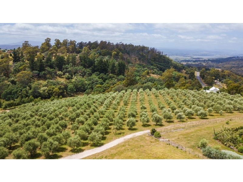26 Skyline Avenue, Grindelwald TAS 7277