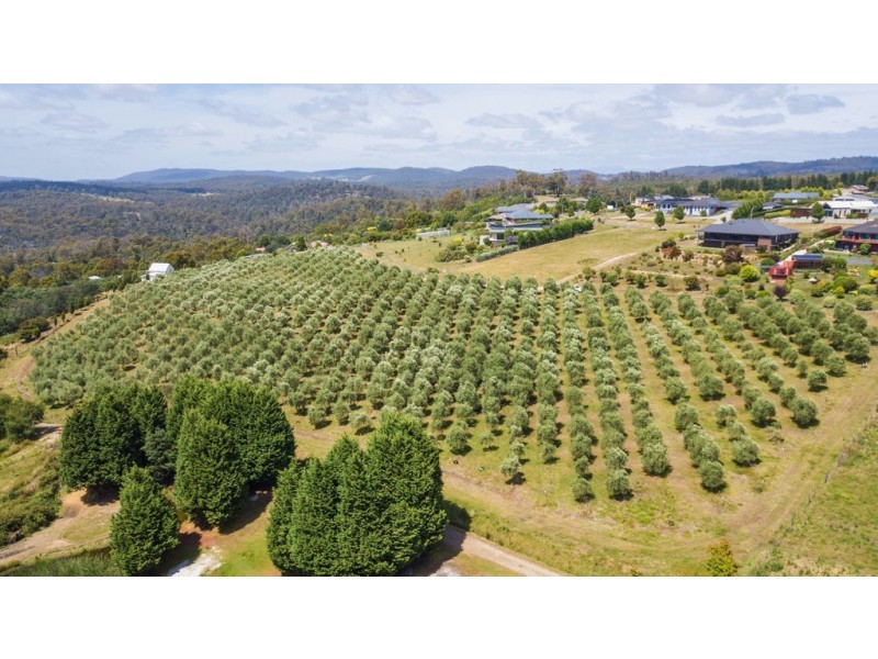 26 Skyline Avenue, Grindelwald TAS 7277