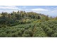 26 Skyline Avenue, Grindelwald TAS 7277