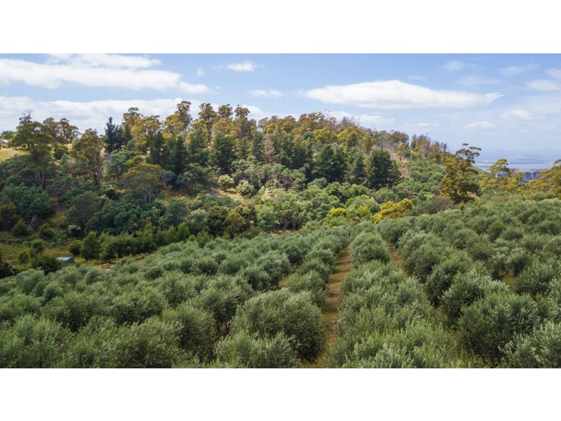 26 Skyline Avenue, Grindelwald TAS 7277