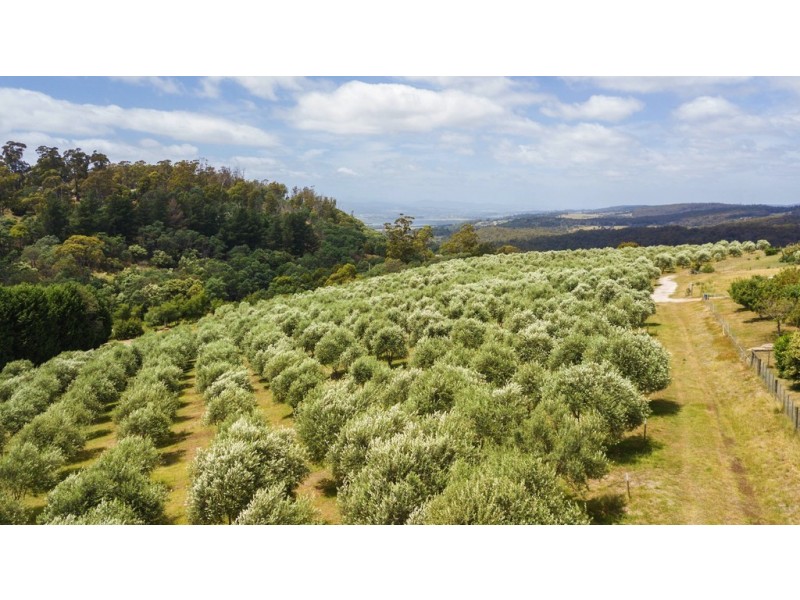 26 Skyline Avenue, Grindelwald TAS 7277