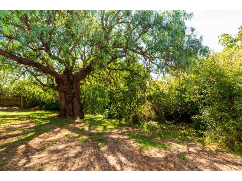 39 Upton Street, Launceston TAS 7250