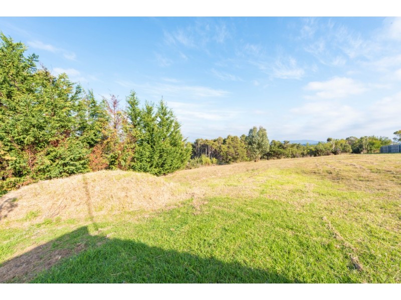 16 Reece Street, George Town TAS 7253