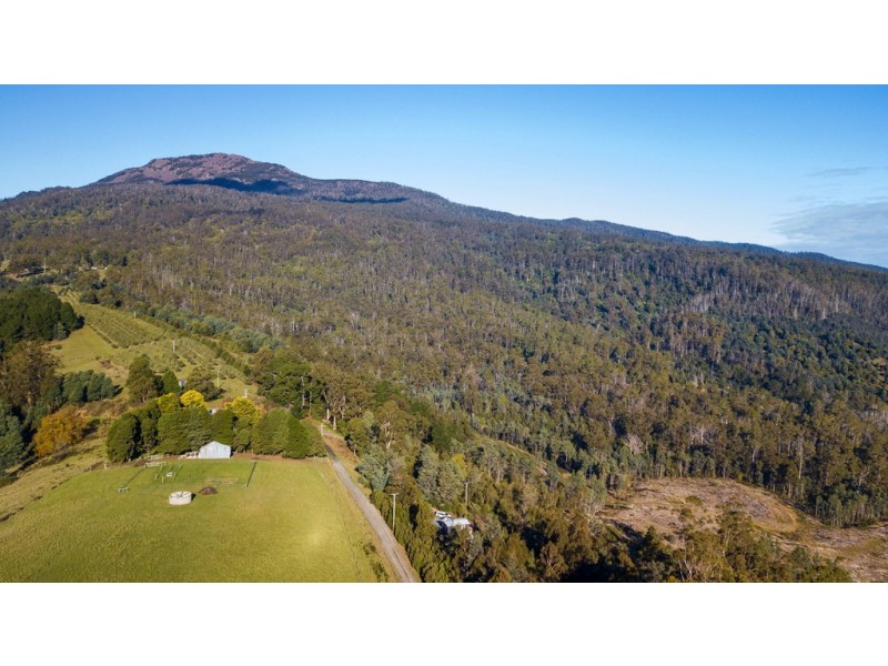 411 Doaks Road, Lilydale TAS 7268