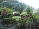 10 Sorell Street, Queenstown TAS 7467