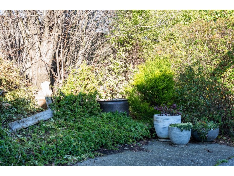 7 McHugh Street, Kings Meadows TAS 7249