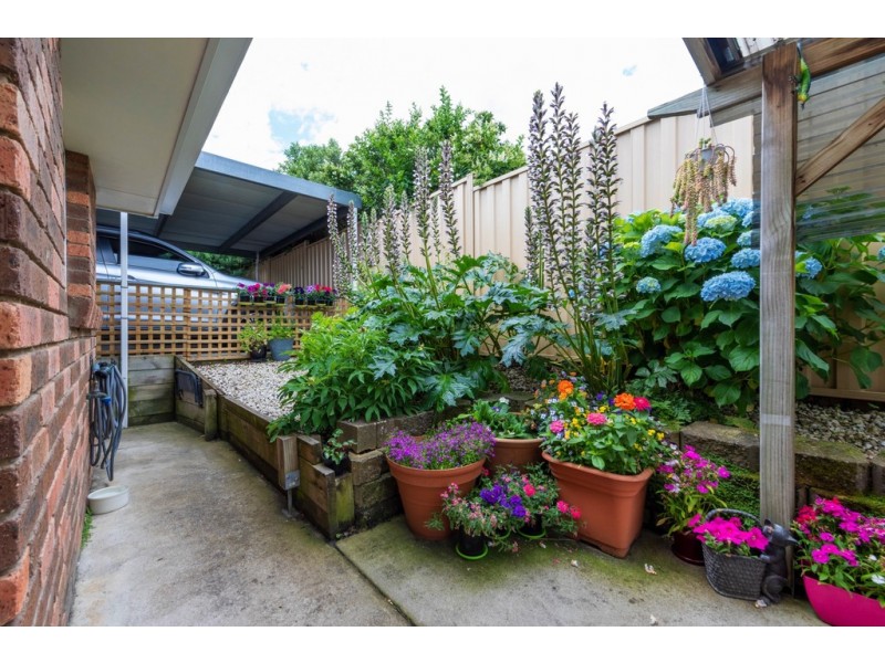 1 and 2/77 Waroona Street, Youngtown TAS 7249