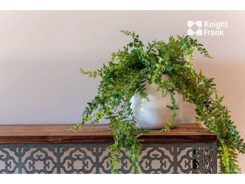 10 Pocket Place, Newnham TAS 7248