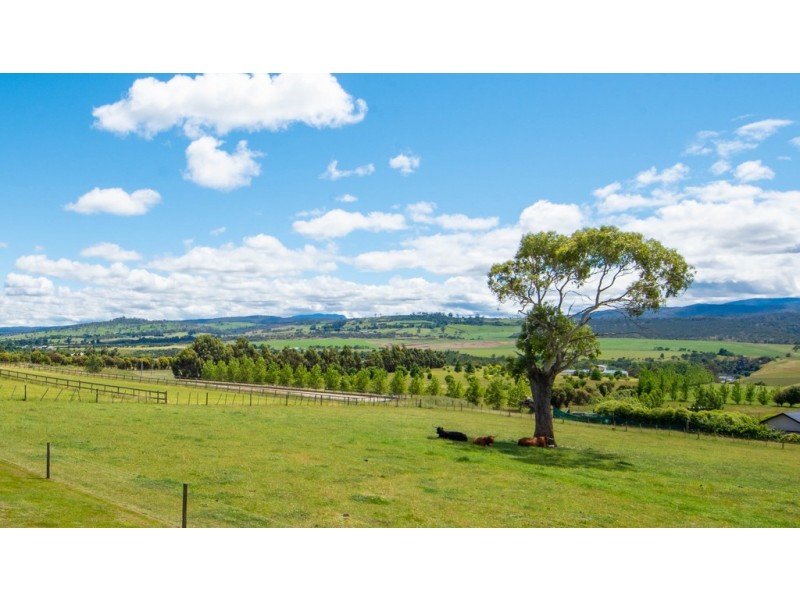 121 Caledonia Drive, Relbia TAS 7258