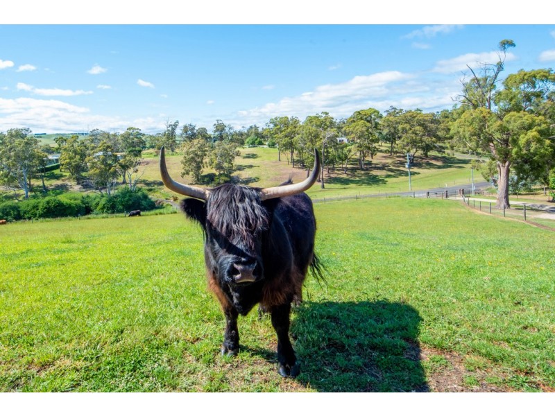 121 Caledonia Drive, Relbia TAS 7258