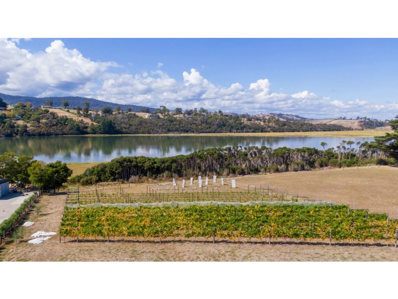 58 Nobelius Drive, Legana TAS 7277