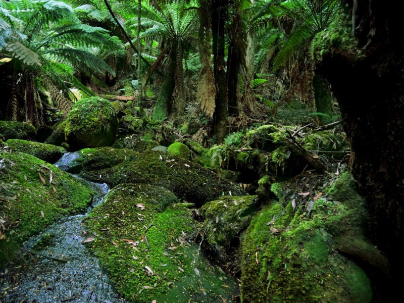 535 New England Road, Goulds Country TAS 7216