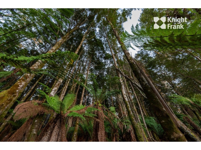 535 New England Road, Goulds Country TAS 7216