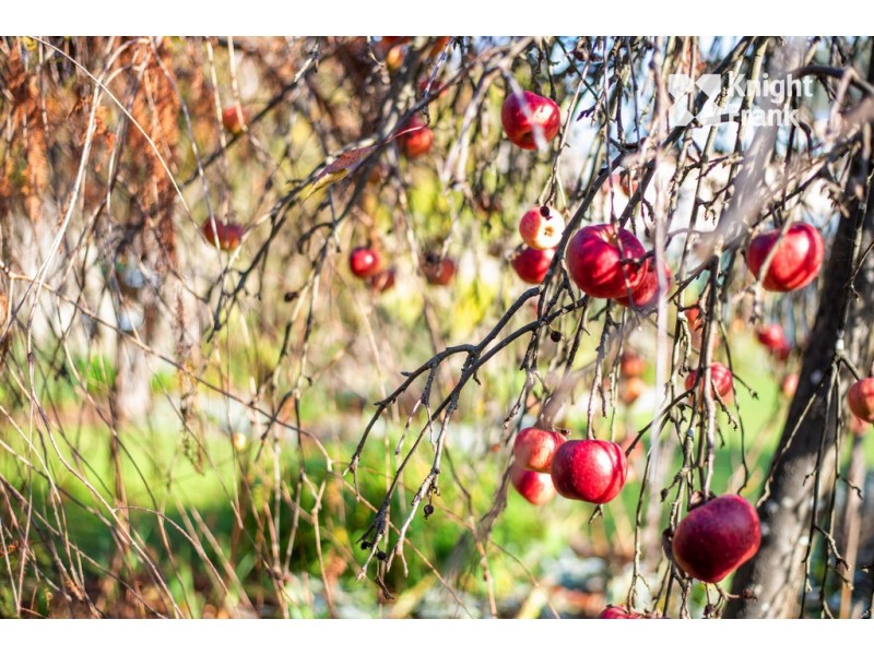 7 Leslie Street, South Launceston TAS 7249