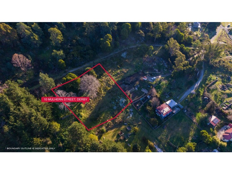 10 Mulhern Street, Derby TAS 7264