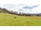 2901 West Tamar Highway, Loira TAS 7275
