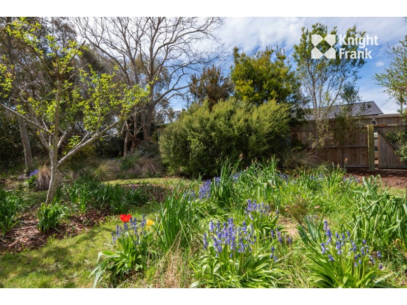 18 King Street, Perth TAS 7300