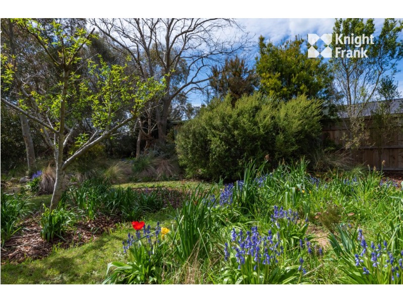 18 King Street, Perth TAS 7300