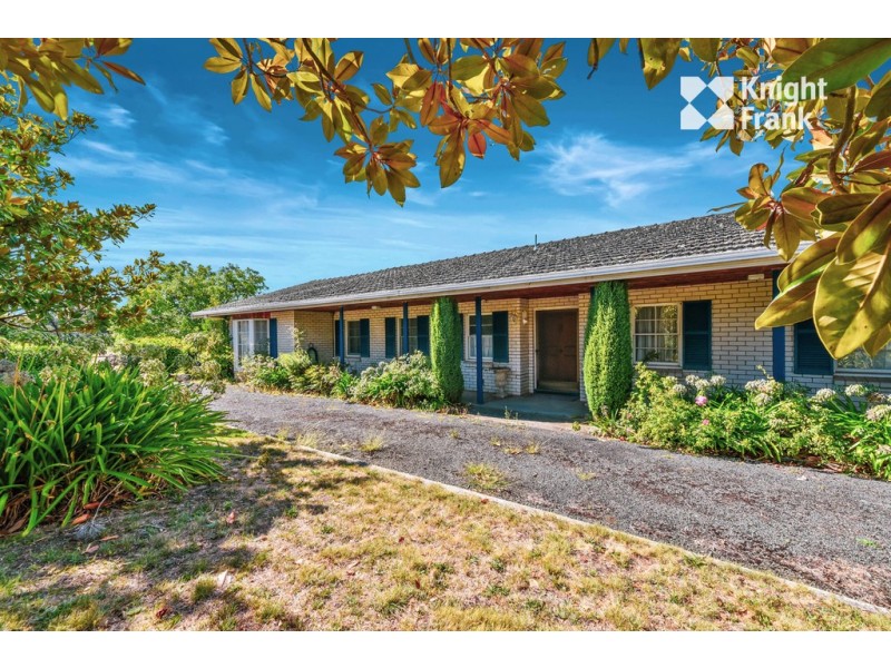 10 Downing Street, Riverside TAS 7250