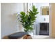 110 Frankland Street, Launceston TAS 7250