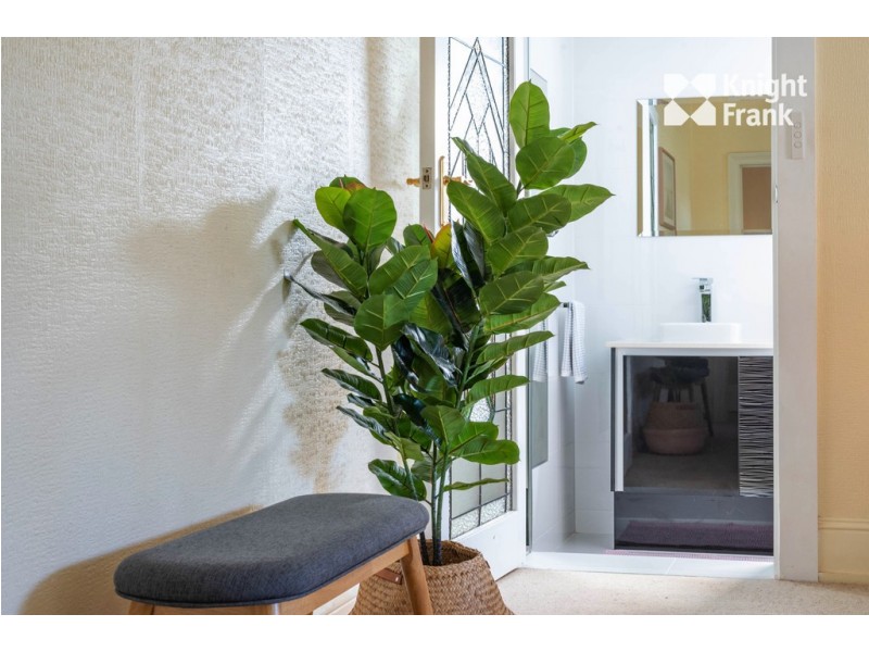 110 Frankland Street, Launceston TAS 7250