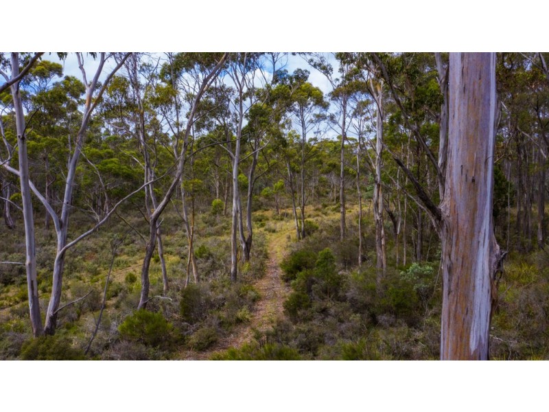 903 Lilydale Road, Underwood TAS 7268