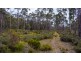 903 Lilydale Road, Underwood TAS 7268
