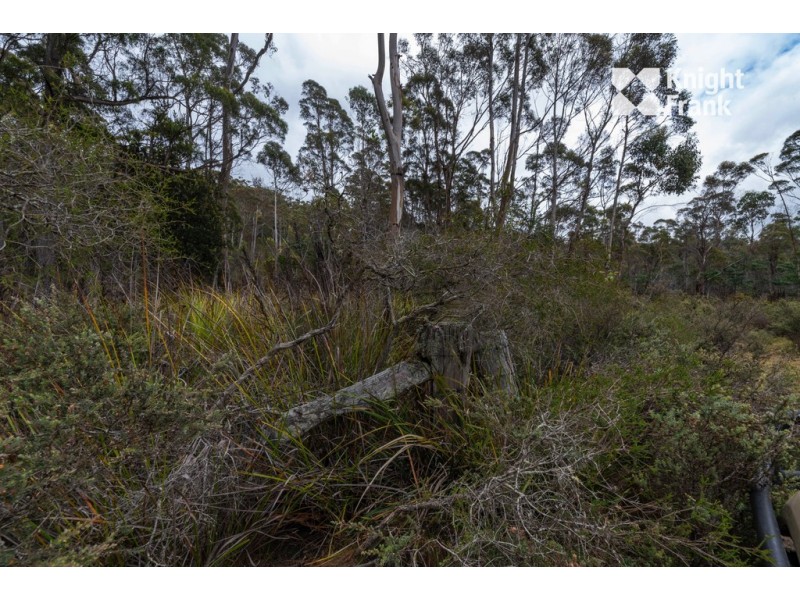 903 Lilydale Road, Underwood TAS 7268