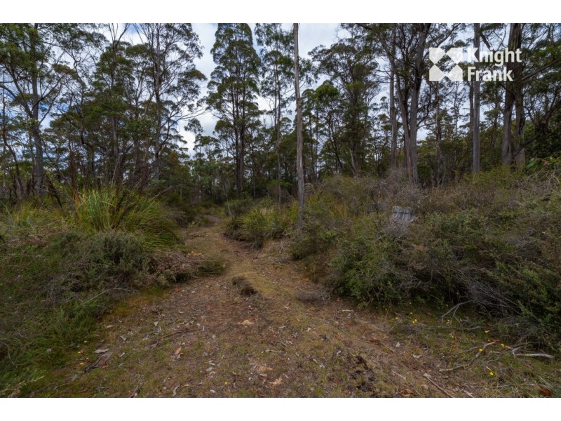 903 Lilydale Road, Underwood TAS 7268