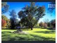 38 Brisbane Street, Launceston TAS 7250