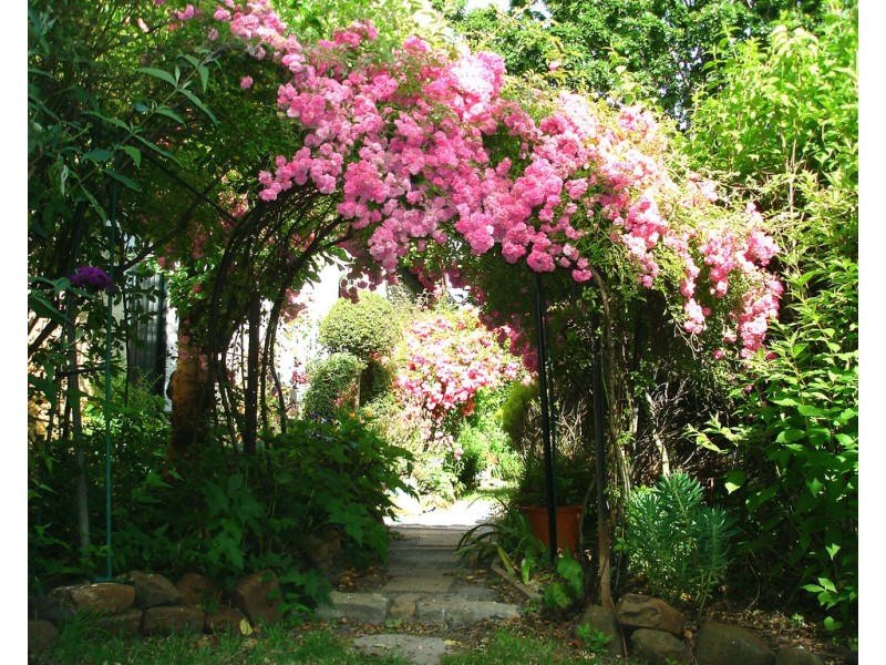 4455 Meander Valley Rd “Bowerbank Mill”, Deloraine TAS 7304